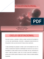 Ciclo Gestacional