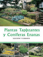 Plantas tapizantes y coníferas enanas