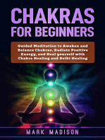 Chakras for Beginners