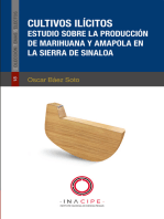 Cultivos Ilícitos: Estudio sobre la producción de marihuana y amapola en la sierra de Sinalora