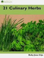 21 Culinary Herbs