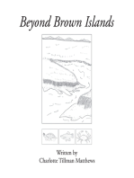 Beyond Brown Islands