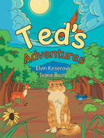 Ted’S Adventures