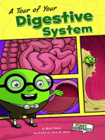 A Tour of Your Digestive System