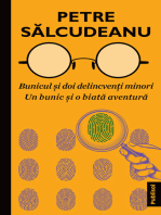 Bunicul și doi delincvenţi minori. Un bunic și o biată aventură