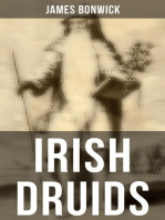 Irish Druids