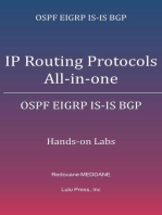 IP Routing Protocols All-in-one: OSPF EIGRP IS-IS BGP Hands-on Labs