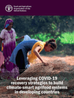 Leveraging Covid-19 Recovery Strategies to Build Climate-Smart Agrifood Systems in Developing Countries