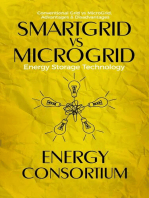 SmartGrid vs MicroGrid; Energy Storage Technology: Energy, #2