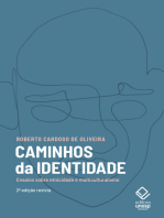 Caminhos da identidade - 2ª edição: Ensaios sobre etnicidade e multiculturalismo