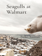 Seagulls at Walmart