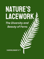 Nature’s Lacework: The Diversity and Beauty of Ferns