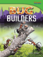 Bug Builders