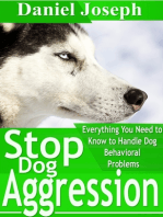 Stop Dog Aggression