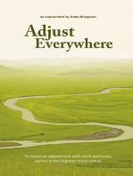 Adjust Everywhere (In English)