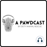 A Pawdcast Pilot I Ep. 1