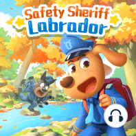 Fantastic Lucky Star (P2)丨Safety Sheriff Labrador?