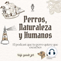 ¿Qué pasa con el perro cuando se separan dos humanos? – Capítulo 249