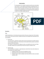 Fourth Ventricle