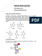 Acidos Nucleicos