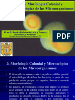 Morfologia Colonial y Microscopica de Los Mo