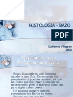 Histologia Bazo 090522133059 Phpapp01