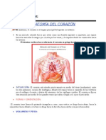 QC Enzimas Cardiacas