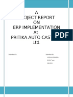 ERP Implementation Project Report