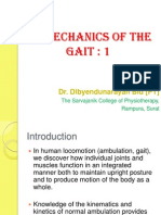 Gait Biomechanics 1