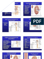 Renal