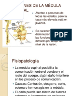 Lesiones de La Médula Espinal