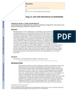 Effects of Morphology vs. Cell-Cell Interactions On Endothelial