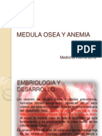 Medula Osea y Anemia