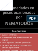 Enfermedades Por Nematodos en Peces