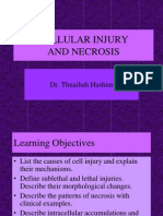 Cellular Injury and Necrosis