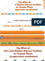 The Effect of Cow and Chicken Manure On Tomato Plant