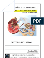 Apostila Anatomia - Sistema Urinário