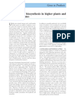 Ascorbic Acid Biosynthesis in Higher Plants and Micro-Organisms