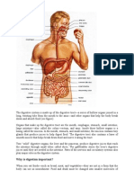 Organ Tubuh Manusia English