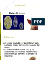 Clase V Balantidiosis