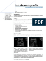 Ultrasonido Obstruccion Vesicula Biliar Casoclinicoecodiciembre10