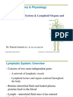 20 The Lymphatic System - Lymphoid Organs and Tissues