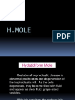 H-Mole (Case Study)