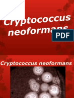 Criptococcus Neoformans