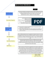 Flow Chart of Technology Protoplast Fusion