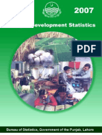 Punjab Development Statistics 2007