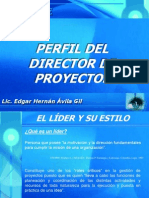 Perfil Director de Proyectos