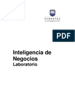 Inteligencia de Negocios Laboratorio