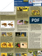 A To Z Bee Guide