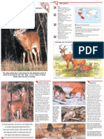 Wildlife Fact File - Mammals, Pgs. 171-180